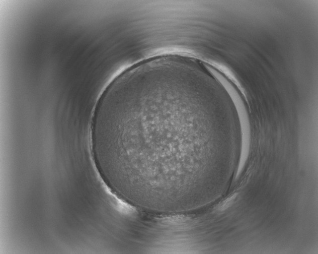 X0000067470999200604101154