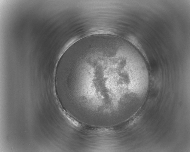 X0000067471002200604101154