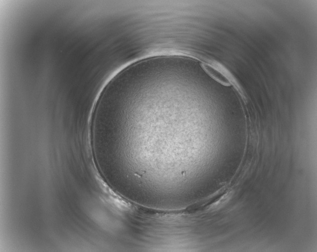 X0000067471004200604101154