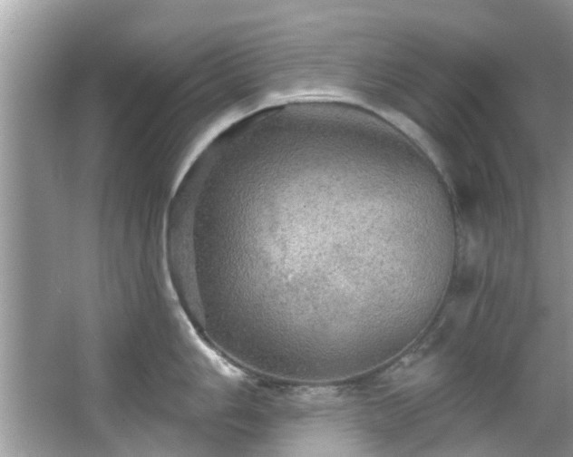 X0000067471006200604101154