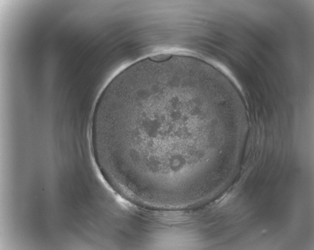 X0000067471007200604101154