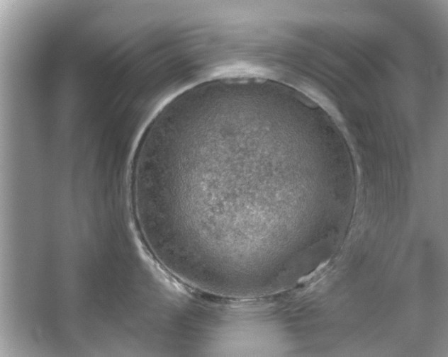 X0000067471008200604101154