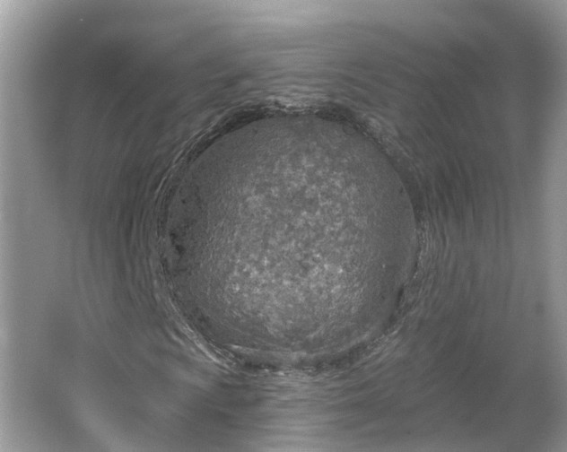 X0000067471009200604101153