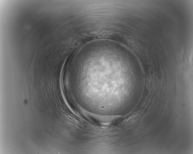 X0000067471010200604101153