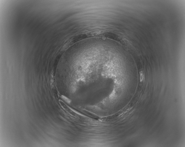 X0000067471011200604101153