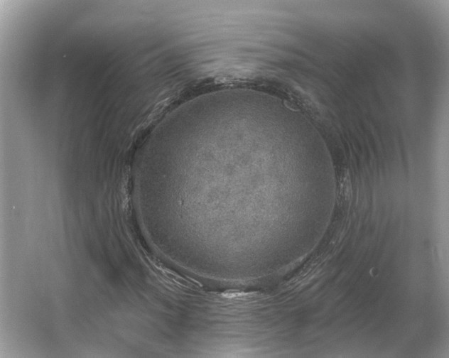 X0000067471012200604101153