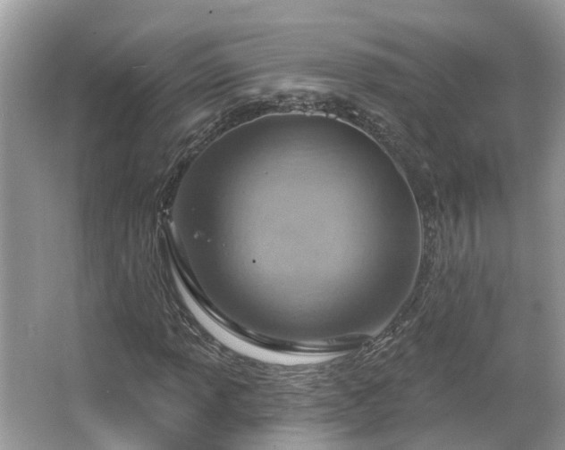 X0000067471013200604101153