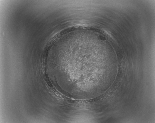 X0000067471015200604101153