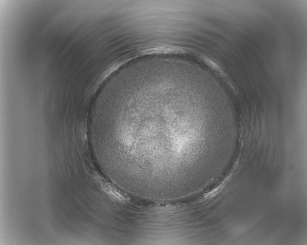 X0000067471017200604101153