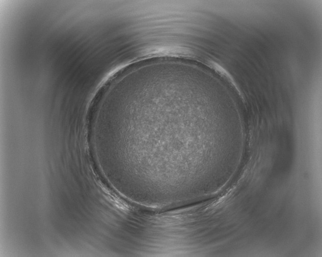 X0000067471019200604101153