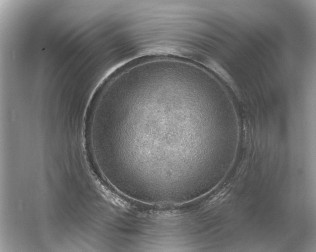 X0000067471020200604101153