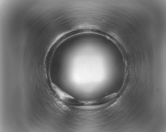 X0000067471022200604101153