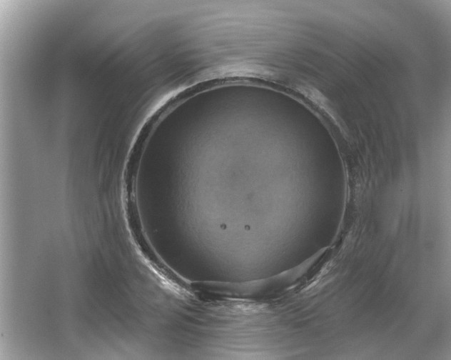 X0000067471024200604101153