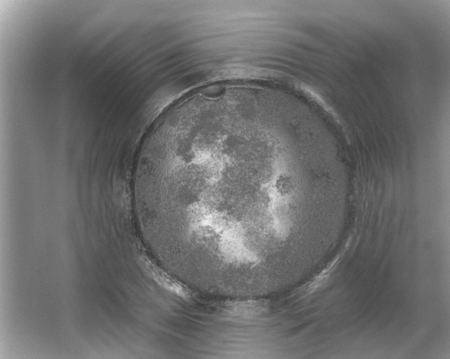 X0000067471025200604101153