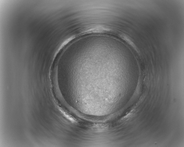 X0000067471026200604101153