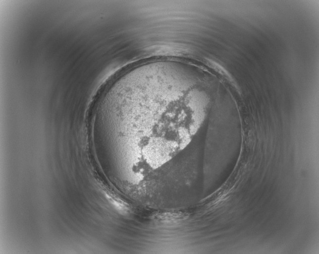 X0000067471027200604101153