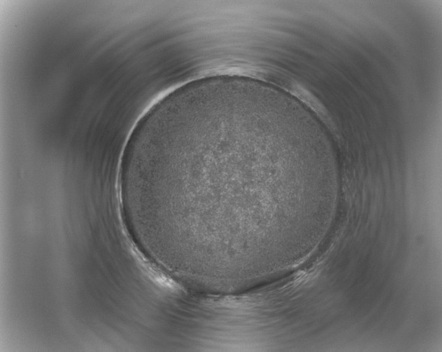 X0000067471028200604101153