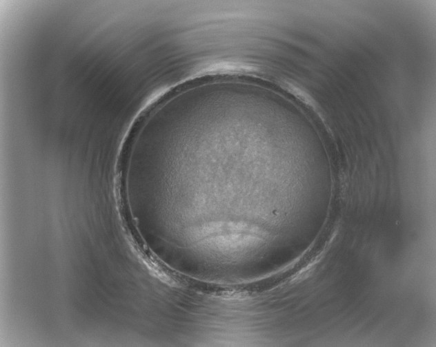 X0000067471029200604101153