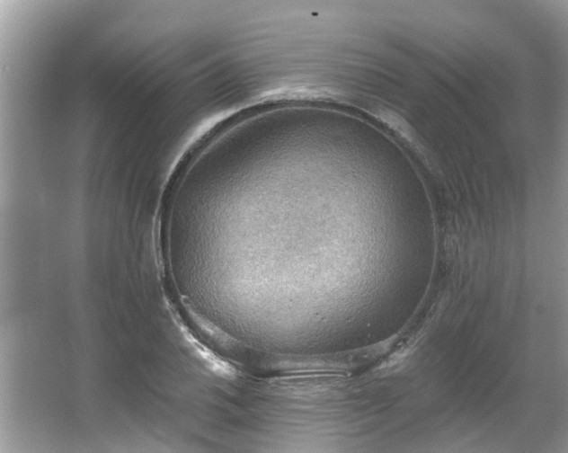 X0000067471030200604101153