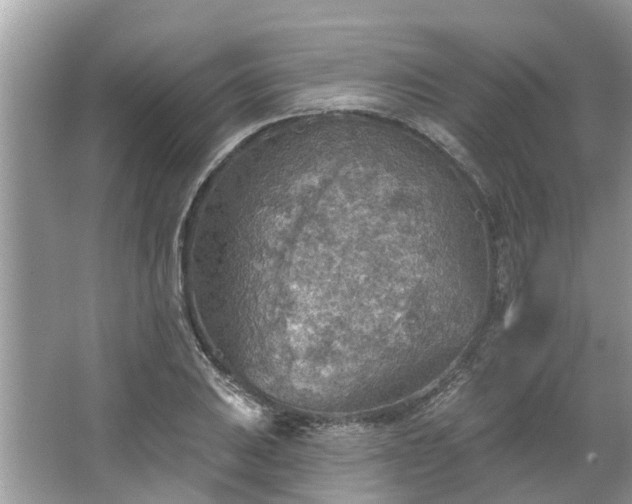 X0000067471031200604101153