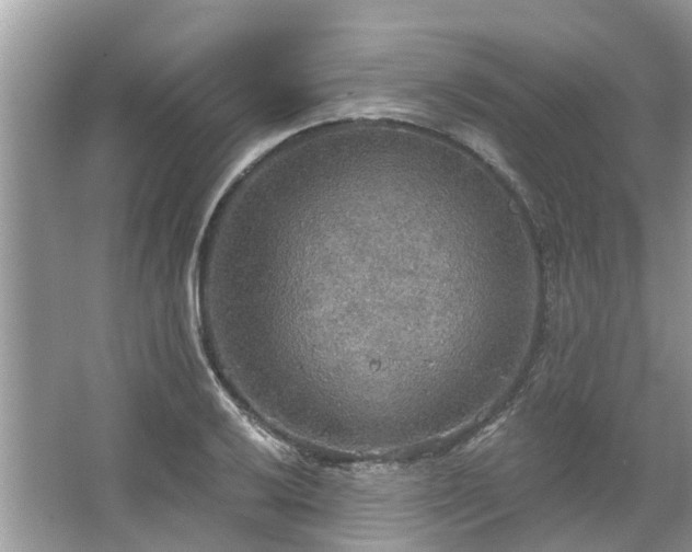 X0000067471032200604101153