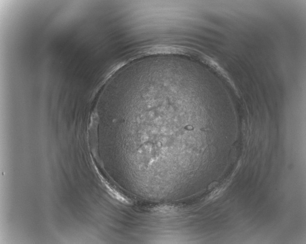 X0000067471033200604101153