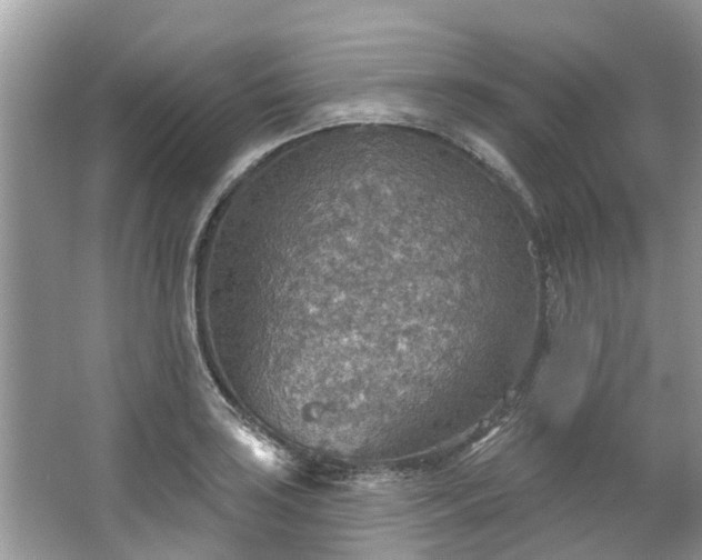 X0000067471035200604101153