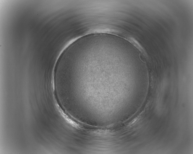 X0000067471036200604101153