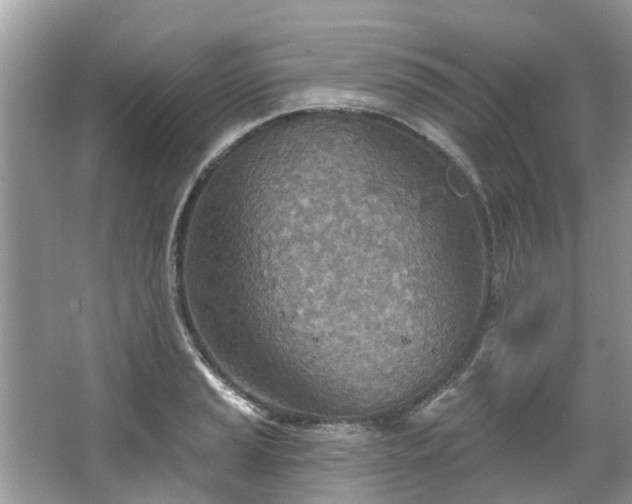 X0000067471037200604101153