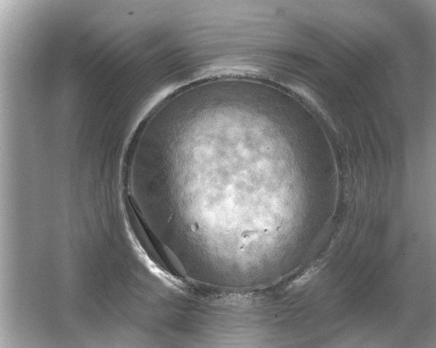 X0000067471038200604101153