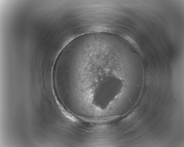 X0000067471039200604101153