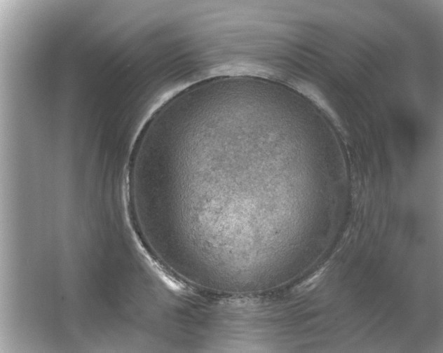 X0000067471040200604101154