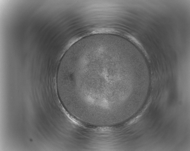 X0000067471041200604101154