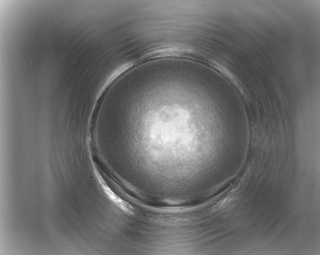 X0000067471042200604101154