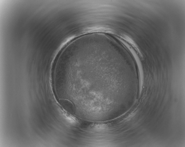 X0000067471043200604101154