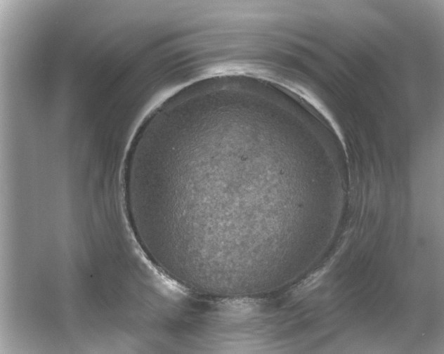 X0000067471045200604101154