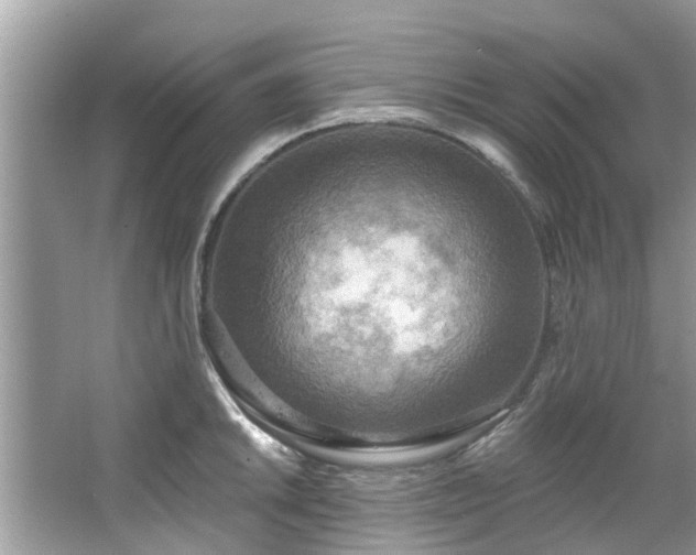 X0000067471046200604101154