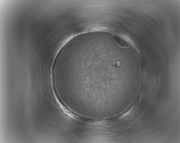 X0000067471047200604101154