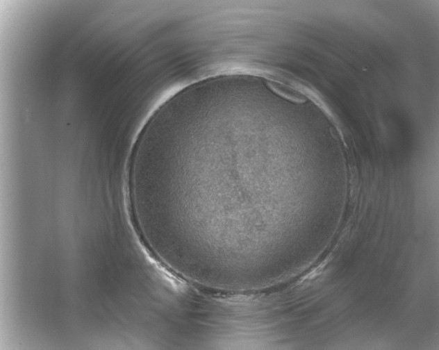 X0000067471048200604101154