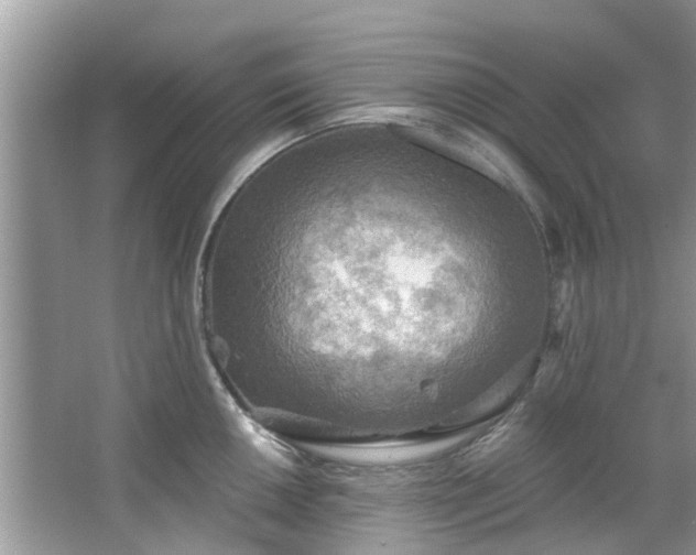 X0000067471050200604101154