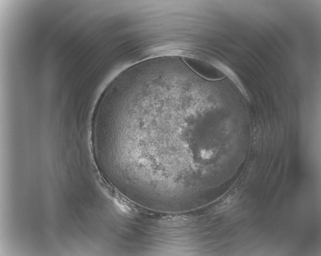 X0000067471051200604101154