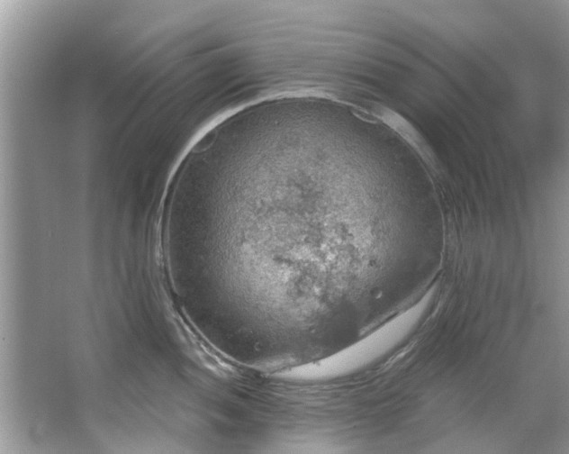 X0000067471052200604101154