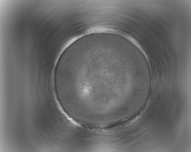 X0000067471053200604101154