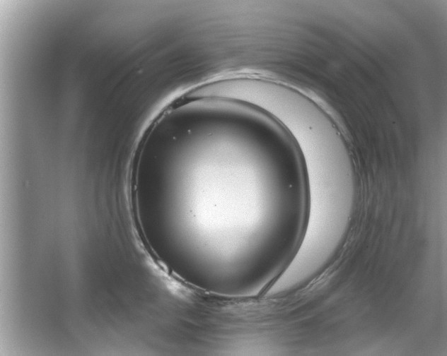 X0000067471054200604101154