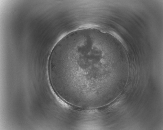 X0000067471055200604101154