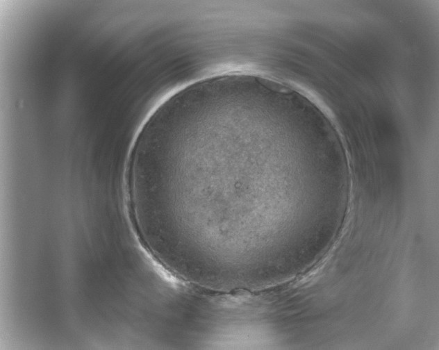 X0000067471056200604101154