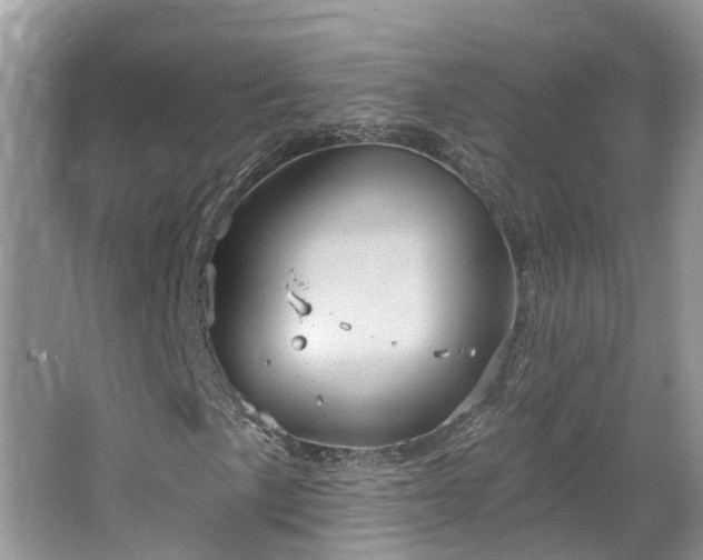 X0000067471057200604101153