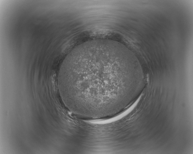 X0000067471059200604101153