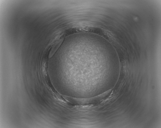 X0000067471060200604101153