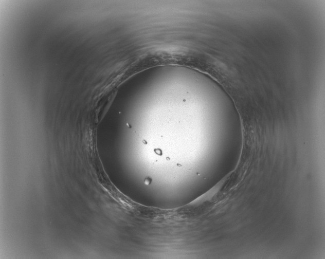 X0000067471061200604101153